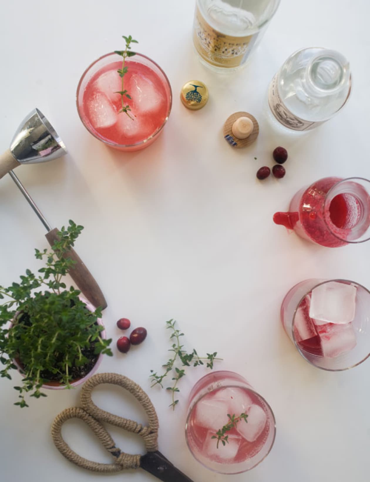 Cranberry Thyme Gin and Tonic with ingredients