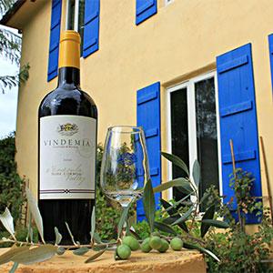 Vindemia Winery photo