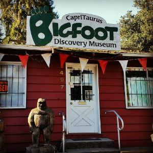 Bigfoot Discovery Museum  photo