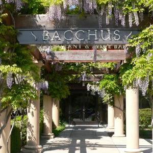 Bacchus Restaurant & Wine Bar photo