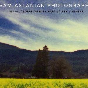 Sam Aslanian Photography photo