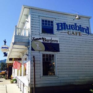Bluebird Cafe & Catering photo