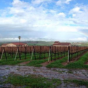 McGrail Vineyards & Winery photo