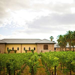Rubino Estates Winery photo