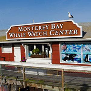 Monterey Bay Whale Watch photo