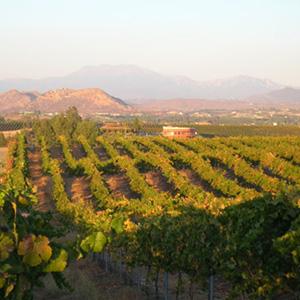 Mount Palomar Winery photo
