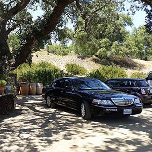 Golden Rooster Transportation & Wine Tours photo