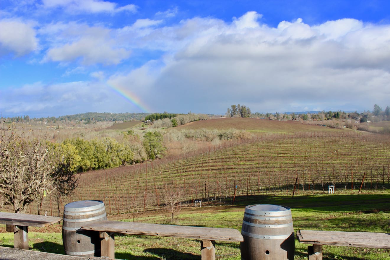 view of vineyard at Iron Horse Vineyards