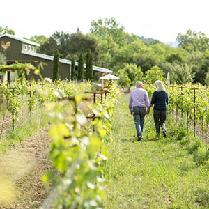 DaVero Farms & Winery