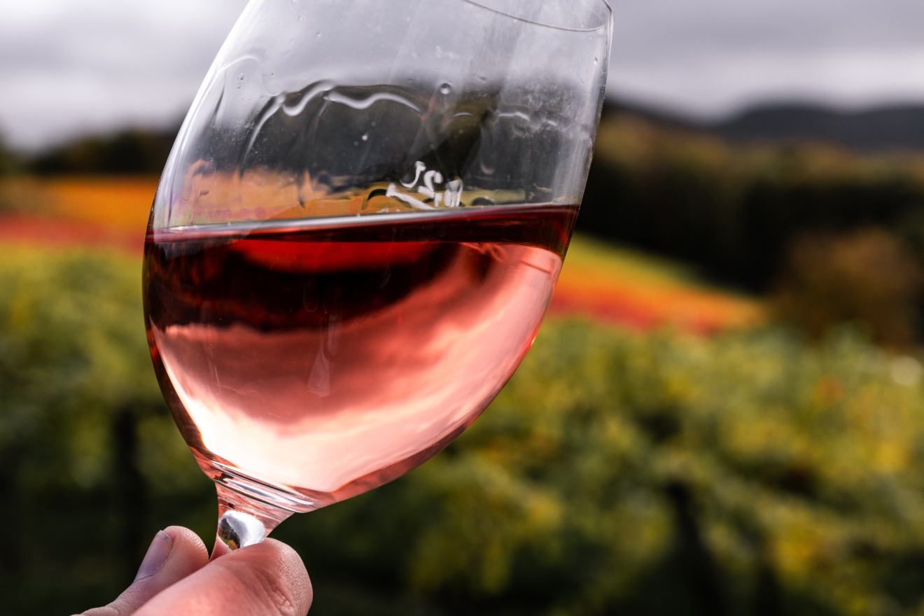 36 Common Wine Descriptions & Wine Tasting Terms