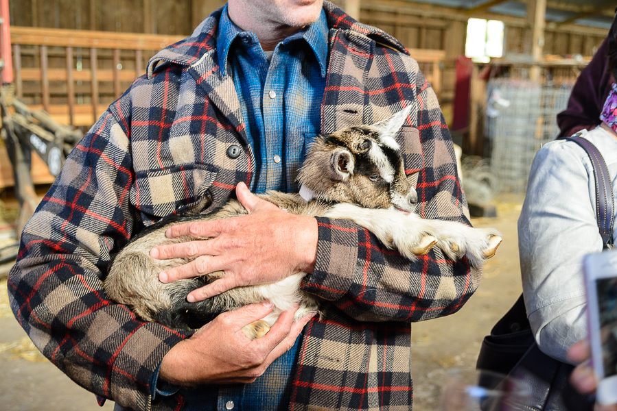 man holding baby goat