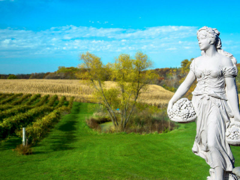 Statue overlooking vineyard